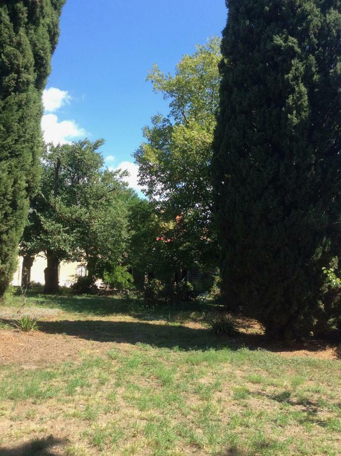 Art Home Bnb Carcassonne Zewnętrze zdjęcie