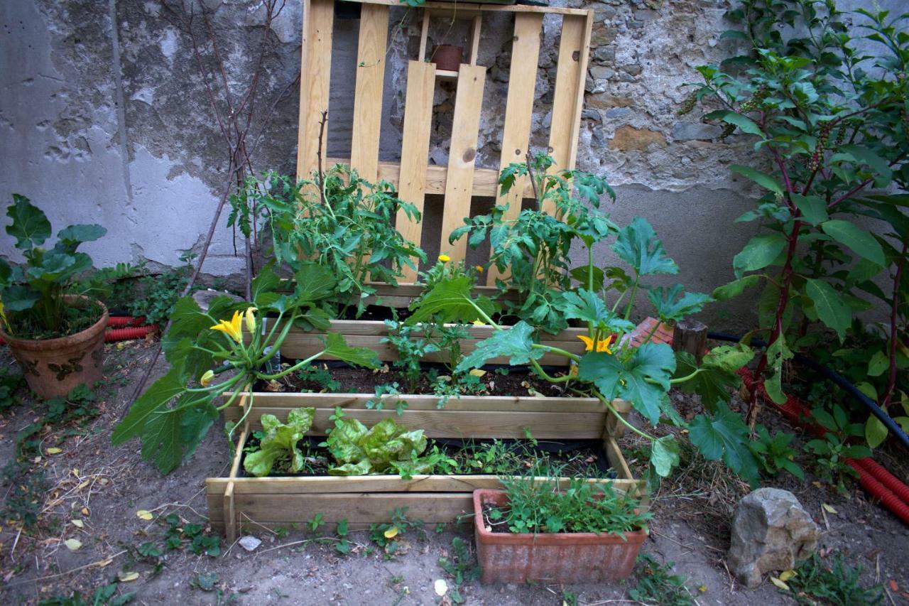 Art Home Bnb Carcassonne Zewnętrze zdjęcie