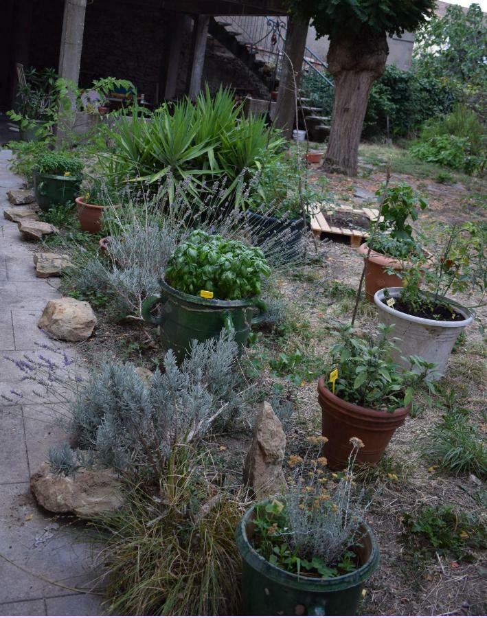 Art Home Bnb Carcassonne Zewnętrze zdjęcie