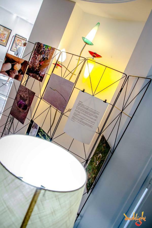 Art Home Bnb Carcassonne Zewnętrze zdjęcie